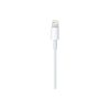 lightning-to-usb-cable-0.5m-1