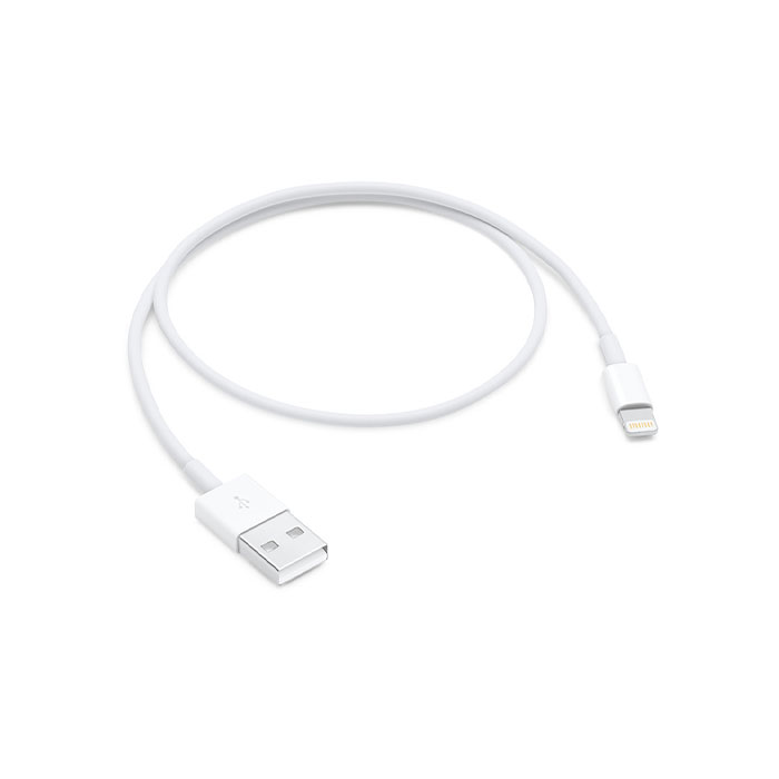 Lightning to USB Cable (0.5 M)